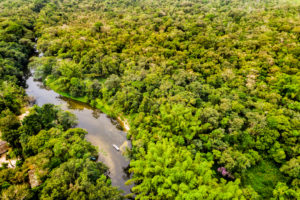 CENTRAL AFRICA: Forestry officers will be better trained in environmental issues ©Gustavo Frazao/Shutterstock