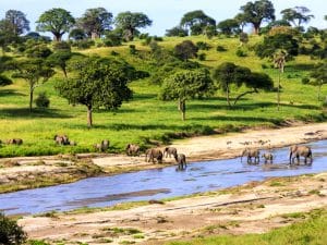 TANZANIE : vers la création de 5 nouveaux parcs dans le sud du pays, pour le tourisme©GTS Productions /Shutterstock