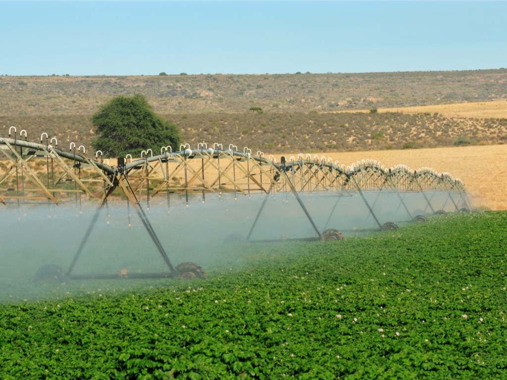 Irrigation Africa Afrik 21