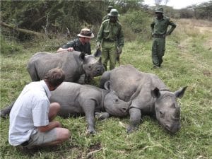 RDC : African Parks chasse les braconniers du Parc national de la Garamba ©Marcel Brekelmans /shutterstock