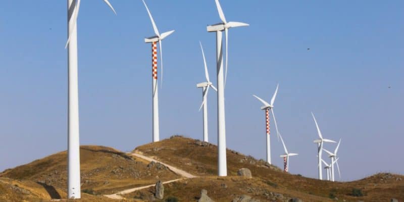 AFRIQUE DU SUD : Siemens Gamesa va livrer 109 éoliennes dans la région du Cap©ollirg /Shutterstock