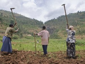 BENIN: Start-up Bio Phyto supplies organic fertilisers to farmers... A first! © Giulio Napolitano /Shutterstock