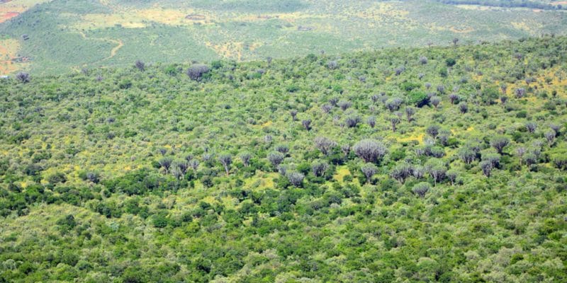 TANZANIA: Tourism encourages protection of 5.2 million hectares of forest by 2030 ©Attila JANDI/Shutterstock