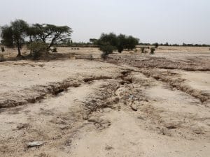 SÉNÉGAL : tous réunis le 30 août 2018 pour contrecarrer la désertification©BOULENGER Xavier/SHutterstock