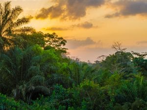 AFRICA: Global Landscape Forum to be held in Kenya in August 2018© Fabian Plock/SHutterstock