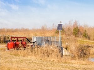 EGYPT: Government joins forces with FAO to deploy solar-powered irrigation©Climber 1959/Shutterstock