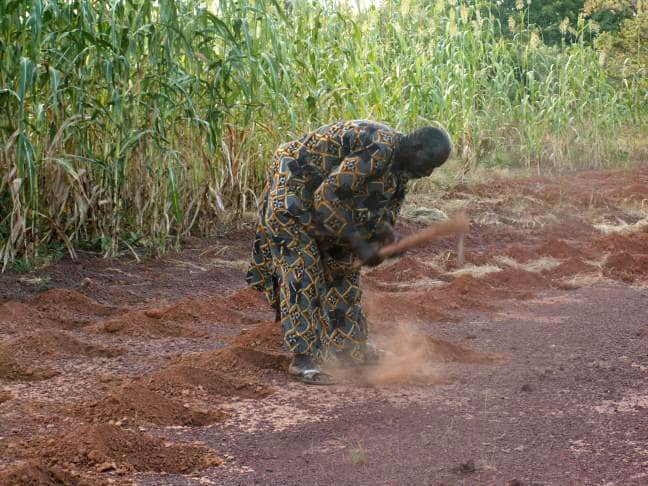 BURKINA FASO : à 80 ans, Yacouba Sawadogo reçoit le prix Nobel alternatif à Stockholm