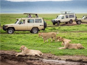 SOUTH AFRICA: Biodiversity economy could create 162,000 jobs ©Kanokratnok/Shutterstock