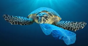 AFRIQUE : l’initiative « Clean Oceans », bénéficiera aux zones côtières du continent© Rich Carey/Shutterstock