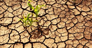 SOUTHERN AFRICA: Germany invests €10 million in climate research© Meryll/Shutterstock