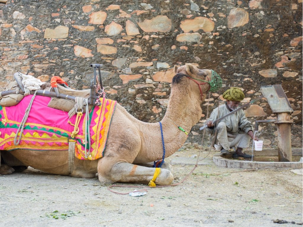 MAURITANIE : à Boghé, 40 stations de pompage pour l’eau potable entrent en service© Kashutosh/Shutterstock