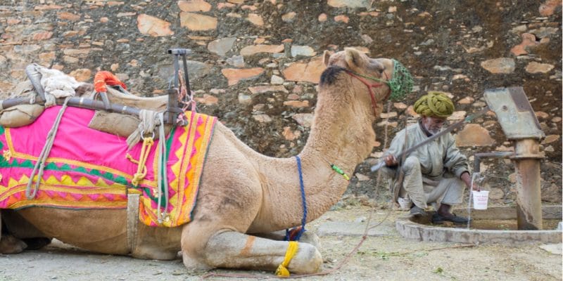 MAURITANIE : à Boghé, 40 stations de pompage pour l’eau potable entrent en service© Kashutosh/Shutterstock