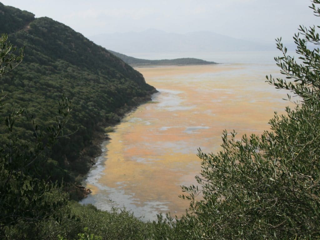 TUNISIA: Lake Bizerte clean-up project will be completed within 5 years© BOULENGER Xavier/Shutterstock