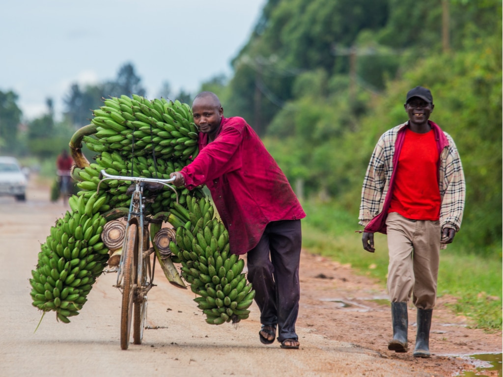 uganda-climate-change-adaptation-plan-for-agriculture-adopted-afrik-21