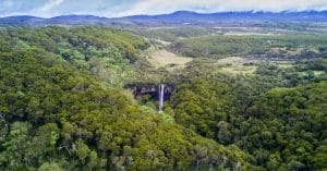 KENYA: How government reforested more than 14,000 hectares of forest in 9 years© Rich Carey/Shutterstock