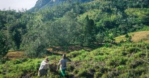 TOGO: UNDP has supported environmental protection with €2.3 million in ten years©Emilija Miljkovic/Shutterstock