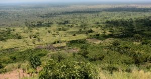 BURUNDI : vers la phase 2 du projet vertueux et rentable de régénération des paysages©wayak/Shutterstock