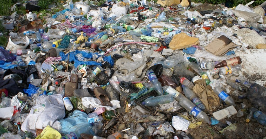 CONGO : le plasticien Junior Luwaka brandit son art contre la pollution plastique©Ivan Popovych/Shutterstock