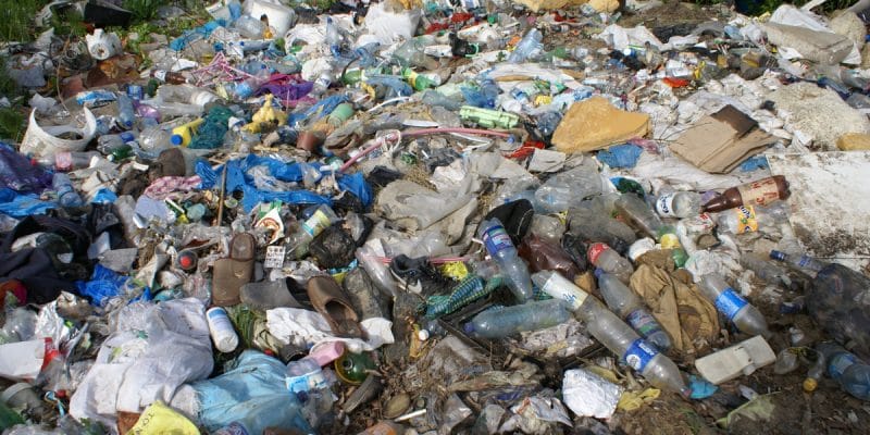 CONGO : le plasticien Junior Luwaka brandit son art contre la pollution plastique©Ivan Popovych/Shutterstock