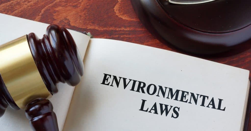 CAMEROON: Environmental code finally emerges©designer491/Shutterstock