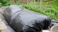 KENYA: AstraZeneca and CISL start up 50 biogas digesters ©TK99/Shutterstock