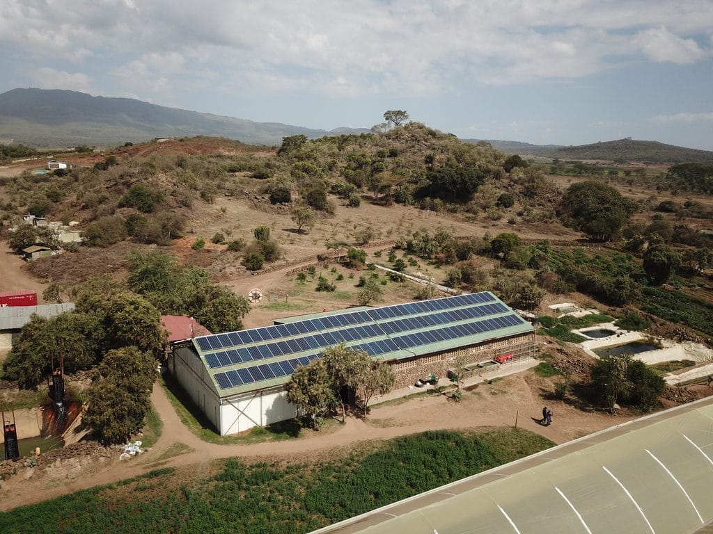 AFRIQUE : Evolution II investit 7 M$ dans Solar Africa et l’off-grid solaire©Sebastian Noethlichs/Shutterstock