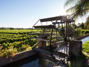 KENYA: Sinohydro's Nzoia irrigation project interrupted by displaced residents©JMx Images/Shutterstock