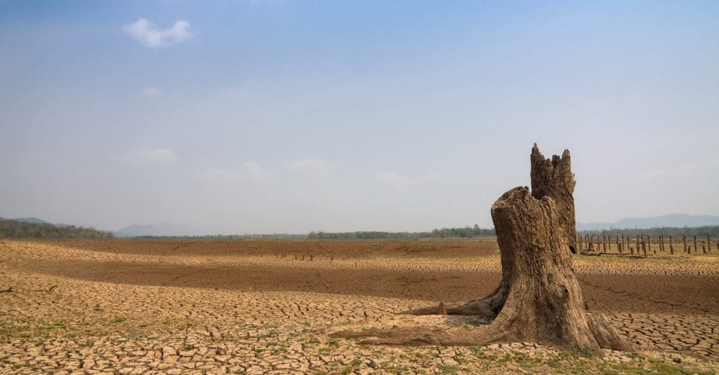 SAHEL : les États adoptent un Plan d’investissement climatique d’environ 400 Mds $©24NovembersShutterstock