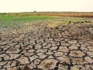 AFRICAN UTILITY WEEK: Climate change and sustainable growth issues© alongkorn chareonphol/Shutterstock