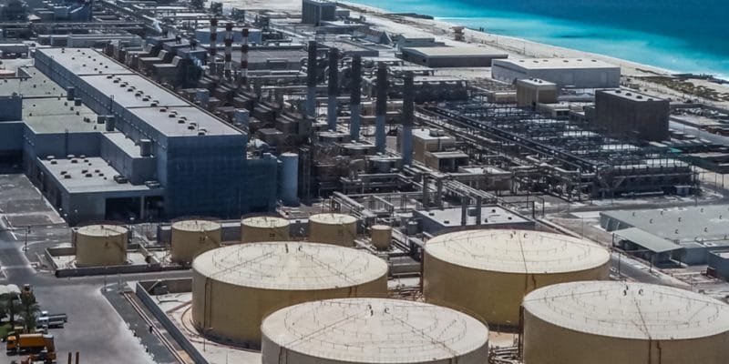 EGYPT: State allocates $75 million for two desalination plants in SCZone©/Shutterstock