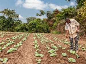 AFRIQUE : la BAD et les élus locaux pensent la résilience aux changements climatiques©Andre Silva Pinto/Shutterstock