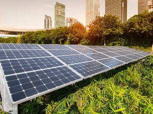 ZIMBABWE : DPA met en service un mini-grid solaire de 466 kWc pour Econet Wireless©asharkyu/Shutterstock