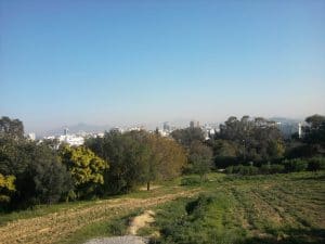 TUNISIA: CRDA inaugurates urban forest in central Tunis©Tilki Mohamad Ali/Shutterstock