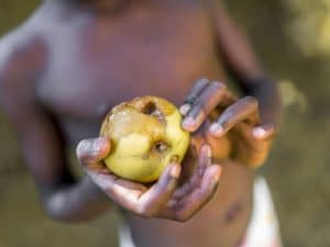 KENYA : ce jeune ingénieur conçoit un frigo solaire pour mieux conserver les aliments©Shutterstock