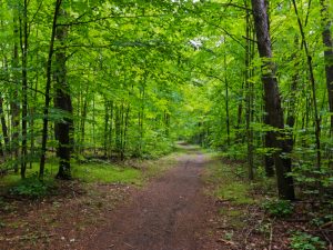 TUNISIA: CRDA inaugurates urban forest in central Tunis ©pavels/Shutterstock