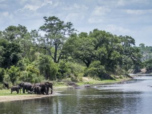 SOUTHERN AFRICA: SADC and USAID join forces for transboundary water management ©PACO COMO/Shutterstock