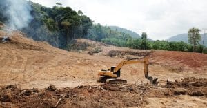 LIBERIA: Sustainable palm oil production programme launched©Rich CareyShutterstock