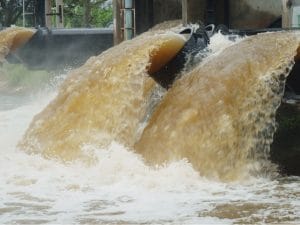 AFRIQUE DU SUD : le consortium GBN lance un projet d’eau dans la province du Limpopo©sakhorn/Shutterstock