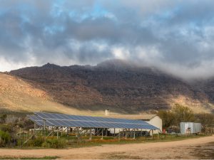 AFRICA: AfDB grants $500 million credit for electrification from renewable energy sources©Grobler du Preez/Shutterstock