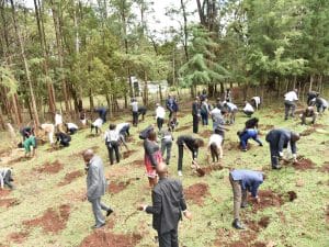 KENYA: Efforts to expand forest cover and restore land©Jen Watson/Shutterstock