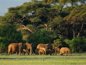 NIGER: EU and AfDB invest nearly €67 million for environmental protection©Daniel Have/Shutterstock