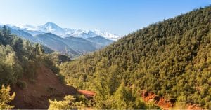 ALGERIA: Djebel Babor forest reverts to national park status©LouieLeaShutterstock