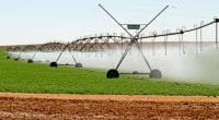 NIGERIA: Federal government procures nine irrigation systems for two States ©MartinMaritz/Shutterstock