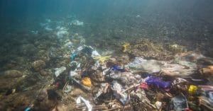 AFRICA: African Marine Waste Network to meet in April in Port Elizabeth-SA©Fedorova Nataliia/Shutterstock