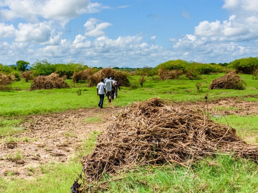 AFRIQUE : IITA lance un projet de transformation de déchets agricoles en engrais©/Shutterstock