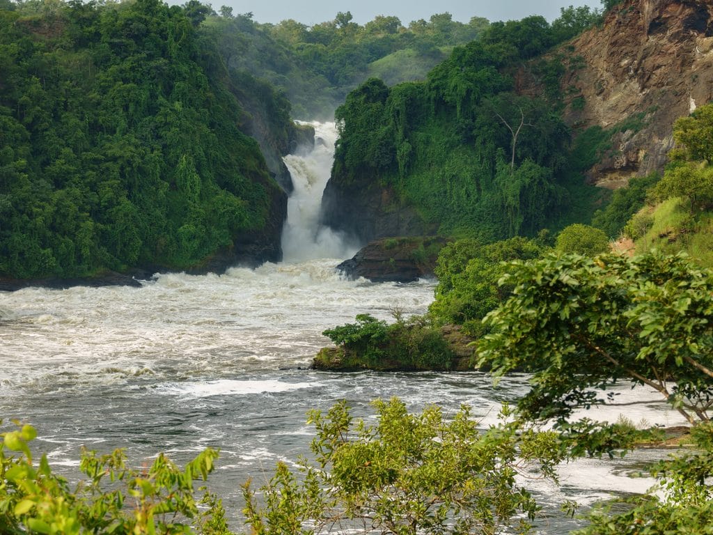 UGANDA: Government cancels Murchison Falls hydroelectric project©FCG/Shutterstock