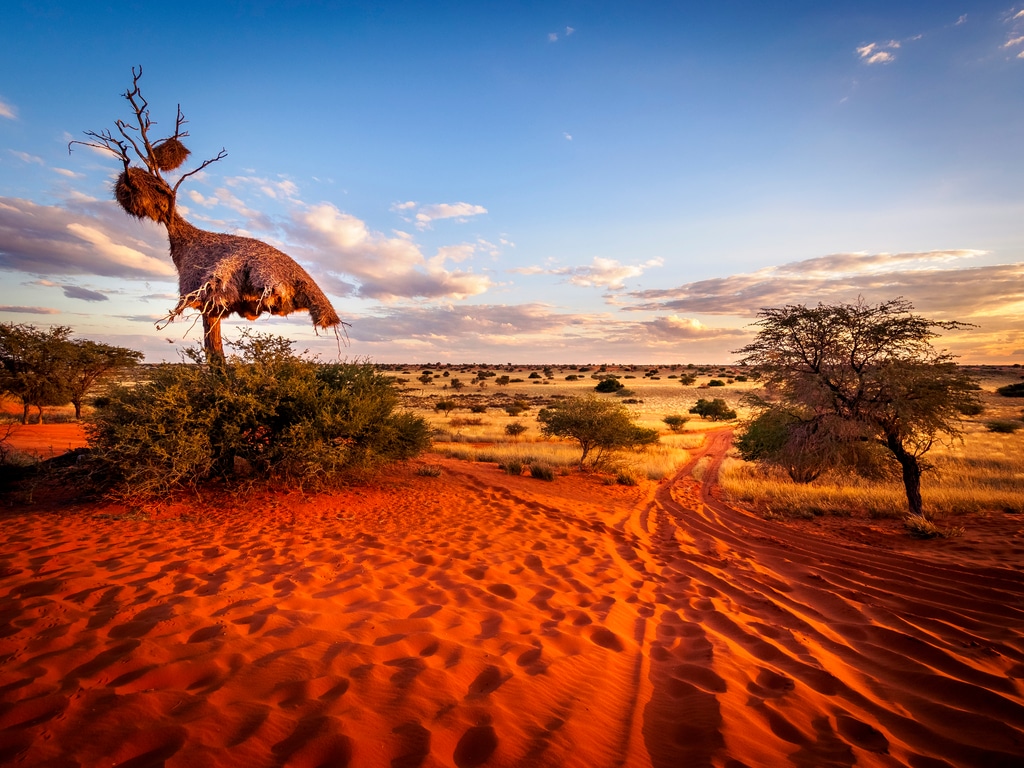 NAMIBIA GCF invests 8.4 million for climate change resilience Afrik 21