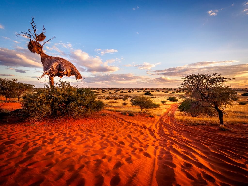 NAMIBIE : le FVC investit 8,4 M$ pour la résilience au changement climatique ©Thomas Noitz/Shutterstock