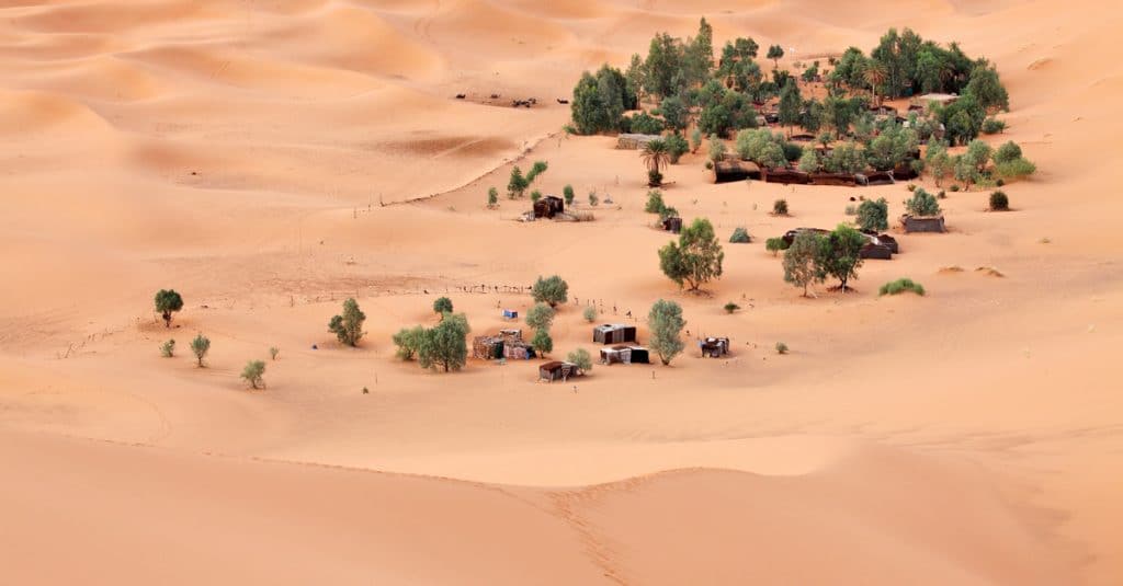 TUNISIE : la participation à la COP 25 est axée sur la préservation des oasis©Vladimir MelnikShutterstock