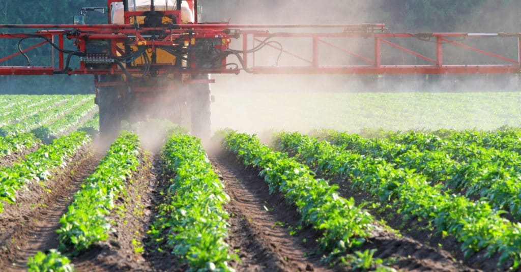 AFRICA: Scientists warn against neonicotinoid insecticides©CanettiShutterstock